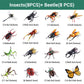 🎁🏆CHRISTMAS GIFT IDEA 50% OFF!!🐞 Insect & Animal Slot-Assembly Toys🎄
