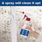 🔥Mildew Cleaner Foam💥