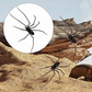 Spider Fridge Magnet🎁Realistic Spider Magnets, for Refrigerator, Garage Door, or Car
