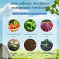 🔥2025 Hot Sale 50%OFF 🌞Home Gardening Universal Slow-Release Tablet Organic Fertilizer