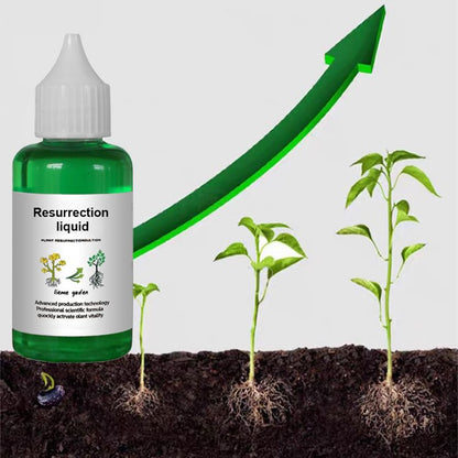 🌿 BUY 1 GET 1 FREE! ✨ Plant & Flower Activation Liquid - Expert-Recommended Formula for Vibrant Growth & Blooming 🌸🌱