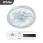 💥2026 HOT SALE 50% OFF💥  2-in-1 Mute Adjustable Fan Light with Remote Control