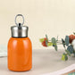 🔥Stylish & Portable Insulated Water Bottle