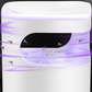 💥Summer Hot Sale 50% OFF🦟UV Fly Trap With Transparent Catch Box