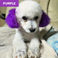 Non-Toxic Pet Hair Color Dye