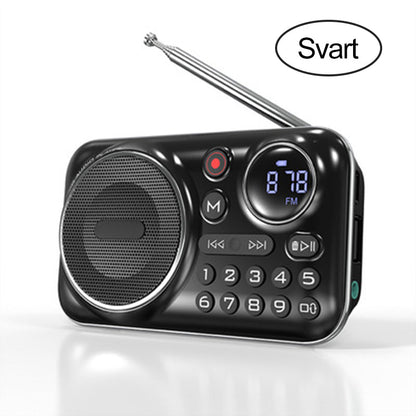 Multifunktionell bärbar Bluetooth-radio och inspelare
