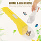 Insect Catching Tool With Clear Viewer