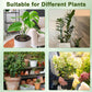 Artificial Branch Plant Support