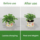 Artificial Branch Plant Support