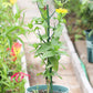 Artificial Branch Plant Support
