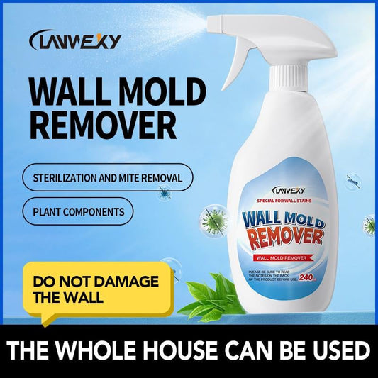 🔥While Supplies Last 50% OFF!🎉 Lanwexy Highly Effective Mould Removal Spray - Prevents Mould Regrowth