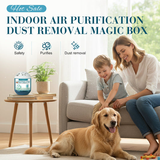 ⏳Christmas Sale 50% OFF⏰Indoor Air Purification Dust Removal Magic Box🏠🌿| Dust Removal & Fresh Air for Any Room✨