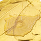 🏡Weather resistant water-based gold paint