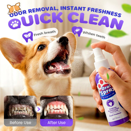 🔥Limited Time Buy 1 Get 1 Free🔥Teeth Cleaning Spray for Pets