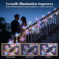 Romantic Butterfly Vine LED Lights