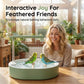 Electric Bird Bath with Shower & Perch