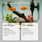 Easy-Use Water Clarifier for Fish Tank Maintenance