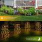 ✨LuminaGlow™ Solar Firework Garden Lights – Waterproof Starburst Stake Lamps for Paths, Patios & Parties 🌟🌧️✨ (Multi-Colour)