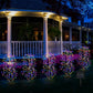 ✨LuminaGlow™ Solar Firework Garden Lights – Waterproof Starburst Stake Lamps for Paths, Patios & Parties 🌟🌧️✨ (Multi-Colour)