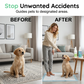 ⏳LIMITED-TIME 50% OFF! 🐶 Pet Potty Training Spray – Say Goodbye to Indoor Accidents! 🏠