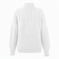 Casual Solid Color Turtleneck Knit Pullover